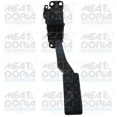 Accelerator Pedal Unit